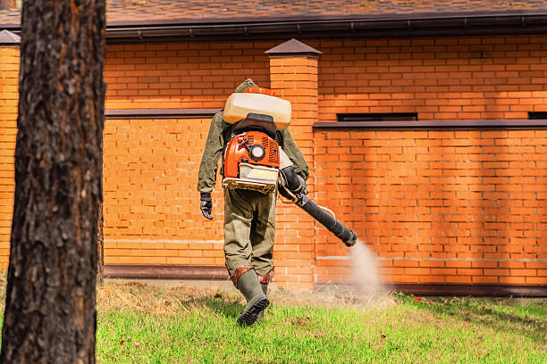 Bed Bug Clearance Verification and Documentation in Pueblo West